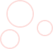 circle-bvg2