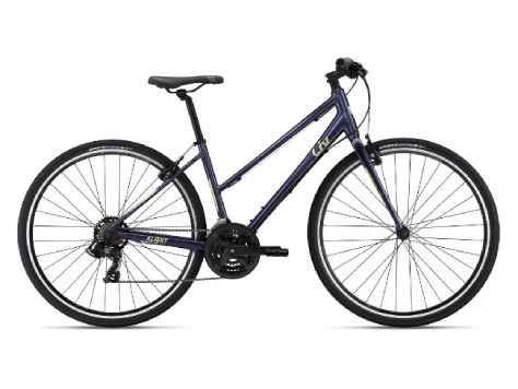 Adult / Teen Hybrid Bikes