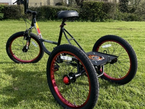 Adult Trike