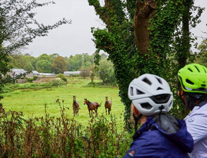 cycle-route-introbig